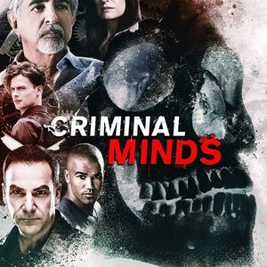 Criminal Minds the Complete series 1-15 85 DVD
